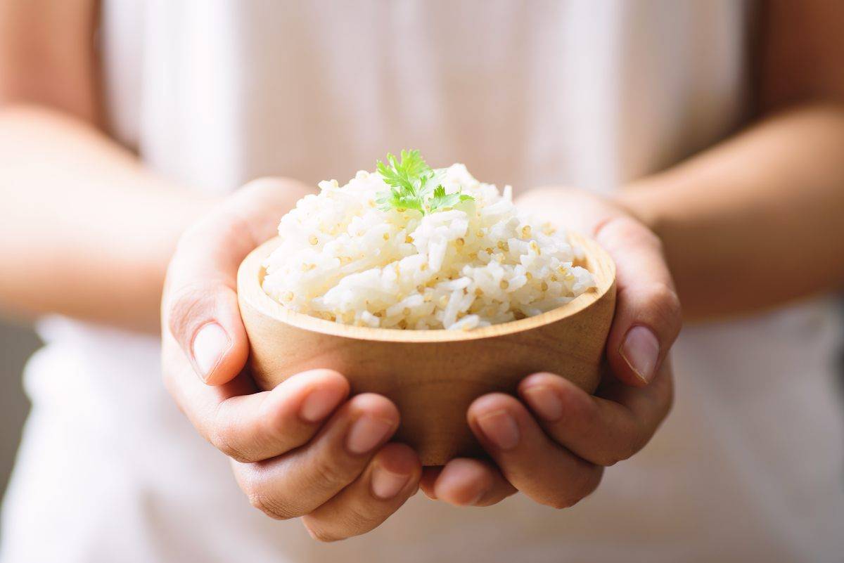 쌀 | 체중 감량을 위해 먹는 양 1