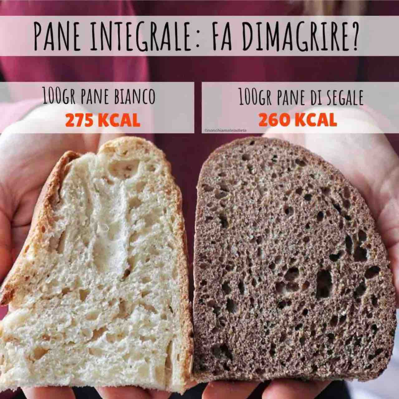비교 빵